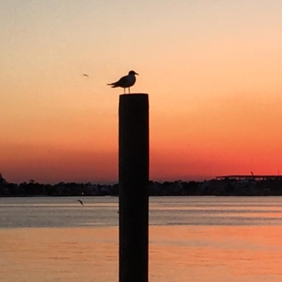 Meet your Posher, LJ - Picture 2 of 2